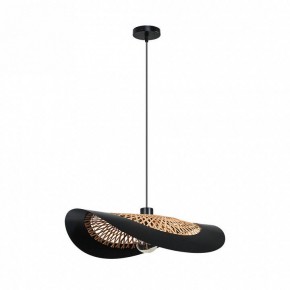 Подвесной светильник Arte Lamp Woodstock A7059SP-1BK в Лесном - lesnoy.ok-mebel.com | фото 2