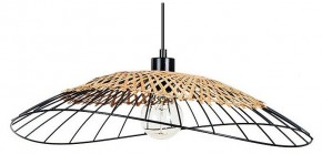 Подвесной светильник Arte Lamp Woodstock A7061SP-1BK в Лесном - lesnoy.ok-mebel.com | фото
