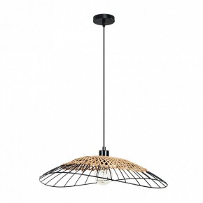 Подвесной светильник Arte Lamp Woodstock A7061SP-1BK в Лесном - lesnoy.ok-mebel.com | фото 2