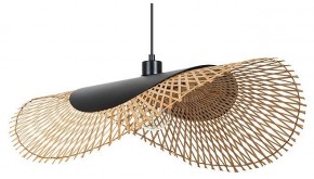 Подвесной светильник Arte Lamp Woodstock A7063SP-1BK в Лесном - lesnoy.ok-mebel.com | фото