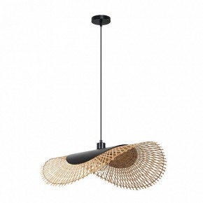 Подвесной светильник Arte Lamp Woodstock A7063SP-1BK в Лесном - lesnoy.ok-mebel.com | фото 2