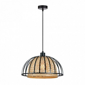 Подвесной светильник Arte Lamp Woodstock A7071SP-1BK в Лесном - lesnoy.ok-mebel.com | фото