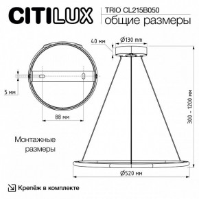 Подвесной светильник Citilux Trio CL215B050 в Лесном - lesnoy.ok-mebel.com | фото 9