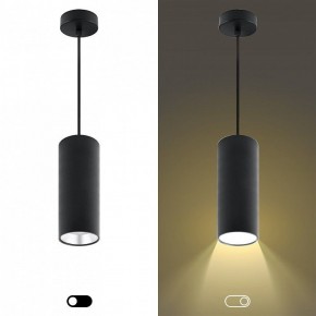 Подвесной светильник Эра  PL12 GX53 BK/SL в Лесном - lesnoy.ok-mebel.com | фото 5
