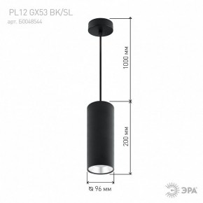 Подвесной светильник Эра  PL12 GX53 BK/SL в Лесном - lesnoy.ok-mebel.com | фото 8