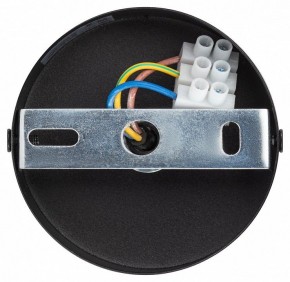 Подвесной светильник Эра  PL12 GX53 BK/SL в Лесном - lesnoy.ok-mebel.com | фото 9