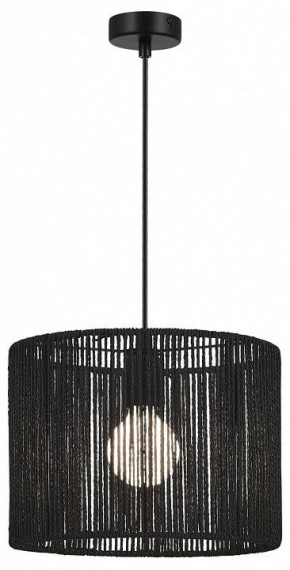 Подвесной светильник EVOLUCE ETTAN SLE6024-403-01 в Лесном - lesnoy.ok-mebel.com | фото 2