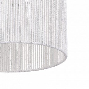 Подвесной светильник EVOLUCE ETTAN SLE6024-503-01 в Лесном - lesnoy.ok-mebel.com | фото 8