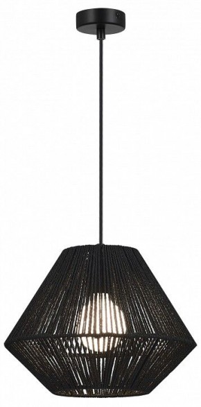 Подвесной светильник EVOLUCE ETTAN SLE6025-403-01 в Лесном - lesnoy.ok-mebel.com | фото 2