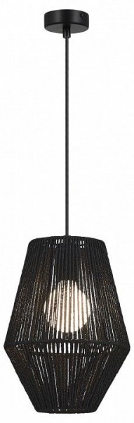 Подвесной светильник EVOLUCE ETTAN SLE6025-413-01 в Лесном - lesnoy.ok-mebel.com | фото 2