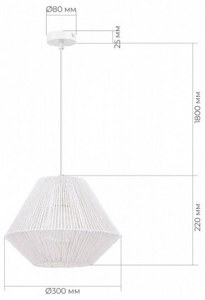 Подвесной светильник EVOLUCE ETTAN SLE6025-503-01 в Лесном - lesnoy.ok-mebel.com | фото 6