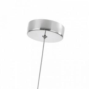 Подвесной светильник Favourite Cattivo 4453-1P в Лесном - lesnoy.ok-mebel.com | фото 7
