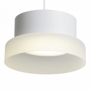 Подвесной светильник Feron HL4608 51686 в Лесном - lesnoy.ok-mebel.com | фото 6