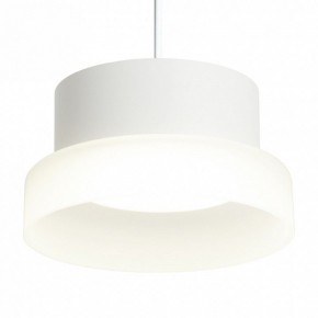 Подвесной светильник Feron HL4608 51686 в Лесном - lesnoy.ok-mebel.com | фото 7