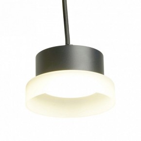 Подвесной светильник Feron HL4608 51687 в Лесном - lesnoy.ok-mebel.com | фото 5