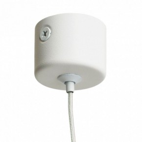 Подвесной светильник Feron ML1008 51376 в Лесном - lesnoy.ok-mebel.com | фото 7