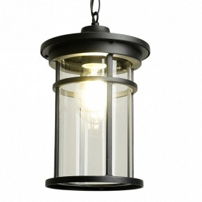 Подвесной светильник Feron PL765 51819 в Лесном - lesnoy.ok-mebel.com | фото 3