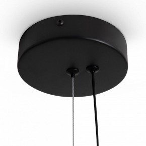 Подвесной светильник Freya Clod FR6186PL-L7SM в Лесном - lesnoy.ok-mebel.com | фото 5