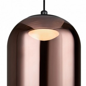 Подвесной светильник Freya Idol FR6134PL-L4C в Лесном - lesnoy.ok-mebel.com | фото 5