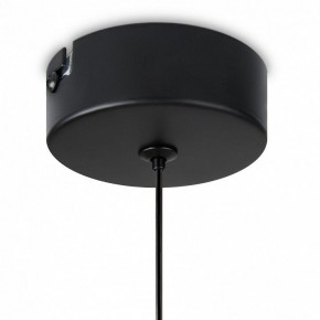 Подвесной светильник Freya Idol FR6134PL-L4SM в Лесном - lesnoy.ok-mebel.com | фото 8