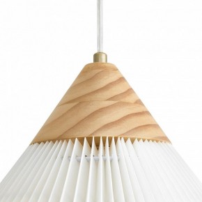 Подвесной светильник Freya Kinsley FR5533PL-01BS в Лесном - lesnoy.ok-mebel.com | фото 8
