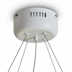 Подвесной светильник Freya Rain FR5546PL-L60W в Лесном - lesnoy.ok-mebel.com | фото 9