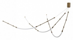 Подвесной светильник Indigo Corda 14010/3P Brass в Лесном - lesnoy.ok-mebel.com | фото 2