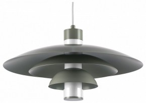 Подвесной светильник Lightstar Erbareo 799019 в Лесном - lesnoy.ok-mebel.com | фото