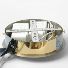 Подвесной светильник Lussole Citrus LSP-7158 в Лесном - lesnoy.ok-mebel.com | фото 6