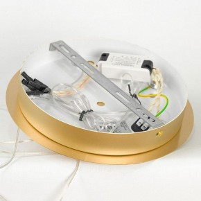 Подвесной светильник Lussole Hopkins LSP-7400 в Лесном - lesnoy.ok-mebel.com | фото 5