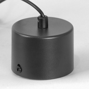 Подвесной светильник Lussole Milam LSP-7450 в Лесном - lesnoy.ok-mebel.com | фото 7