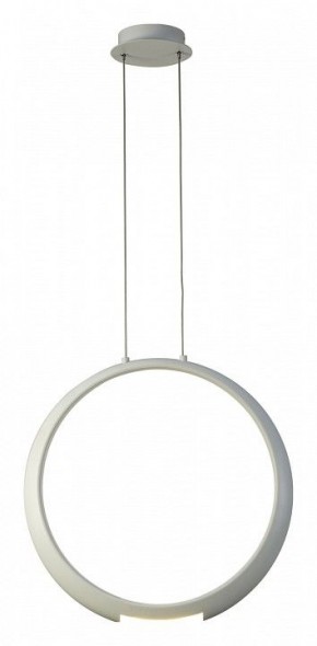 Подвесной светильник Mantra Ring 6170 в Лесном - lesnoy.ok-mebel.com | фото 2