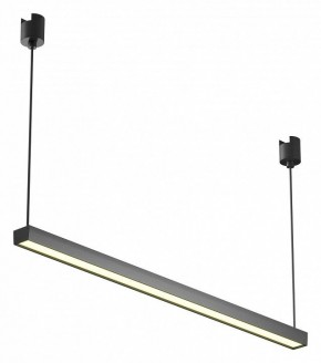 Подвесной светильник Maytoni Basis TR170-1-26W3K-B в Лесном - lesnoy.ok-mebel.com | фото