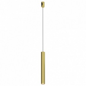 Подвесной светильник Maytoni Focus Led TR155-1-5W3K-BS в Лесном - lesnoy.ok-mebel.com | фото