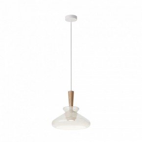 Подвесной светильник Maytoni Toys MOD405PL-01W в Лесном - lesnoy.ok-mebel.com | фото 2