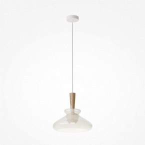 Подвесной светильник Maytoni Toys MOD405PL-01W в Лесном - lesnoy.ok-mebel.com | фото 3