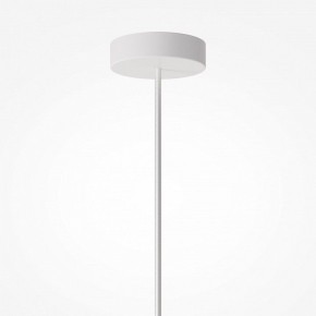Подвесной светильник Maytoni Toys MOD405PL-01W в Лесном - lesnoy.ok-mebel.com | фото 7