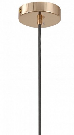 Подвесной светильник Moderli Charm V11176-1P в Лесном - lesnoy.ok-mebel.com | фото 8
