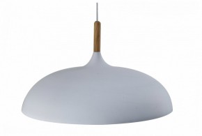Подвесной светильник Moderli Hygo V11447-1P в Лесном - lesnoy.ok-mebel.com | фото