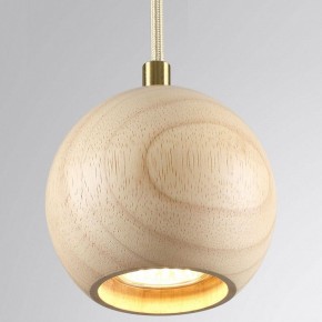 Подвесной светильник Odeon Light Caucho 7061/1 в Лесном - lesnoy.ok-mebel.com | фото 2