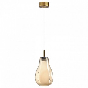 Подвесной светильник Odeon Light Nave 5098/4L в Лесном - lesnoy.ok-mebel.com | фото 4