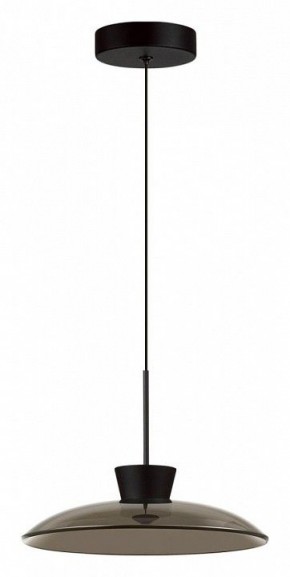 Подвесной светильник Odeon Light Saucer 5055/9L в Лесном - lesnoy.ok-mebel.com | фото 2