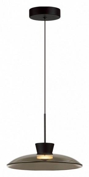 Подвесной светильник Odeon Light Saucer 5055/9L в Лесном - lesnoy.ok-mebel.com | фото 3
