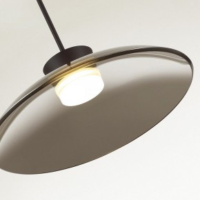 Подвесной светильник Odeon Light Saucer 5055/9L в Лесном - lesnoy.ok-mebel.com | фото 6