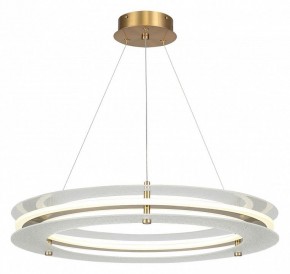 Подвесной светильник ST-Luce FAGY SL6245.203.01 в Лесном - lesnoy.ok-mebel.com | фото 2