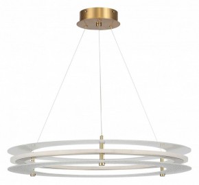 Подвесной светильник ST-Luce FAGY SL6245.203.01 в Лесном - lesnoy.ok-mebel.com | фото 3