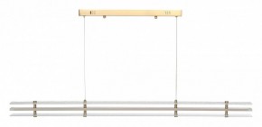 Подвесной светильник ST-Luce FAGY SL6245.223.01 в Лесном - lesnoy.ok-mebel.com | фото 3