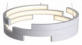 Подвесной светильник ST-Luce Genuine SL963.503.01 в Лесном - lesnoy.ok-mebel.com | фото