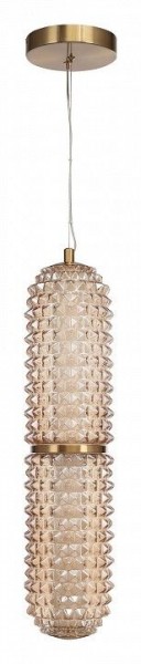Подвесной светильник ST-Luce SAGUARO SL6144.303.01 в Лесном - lesnoy.ok-mebel.com | фото 3