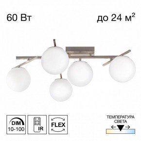 Потолочная люстра Citilux Dorsy CL223151 в Лесном - lesnoy.ok-mebel.com | фото 2